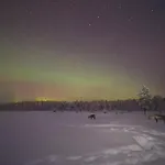 Korpikartano