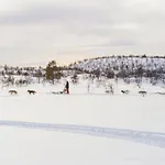 Korpikartano Hotel Inari