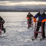 Отель Korpikartano 3*