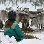 Отель Korpikartano Инари