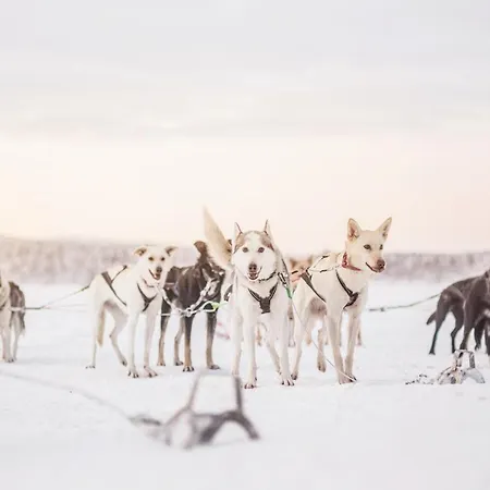 Korpikartano Inari