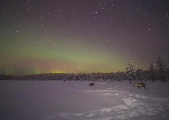 コルピカルタノ