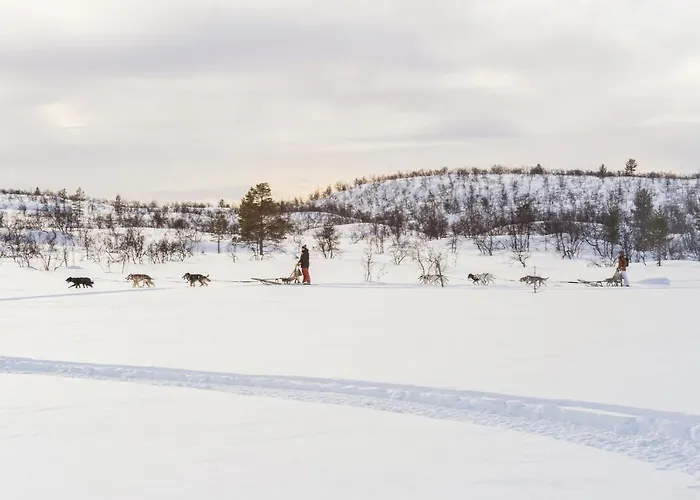 コルピカルタノ ホテル イナリ
