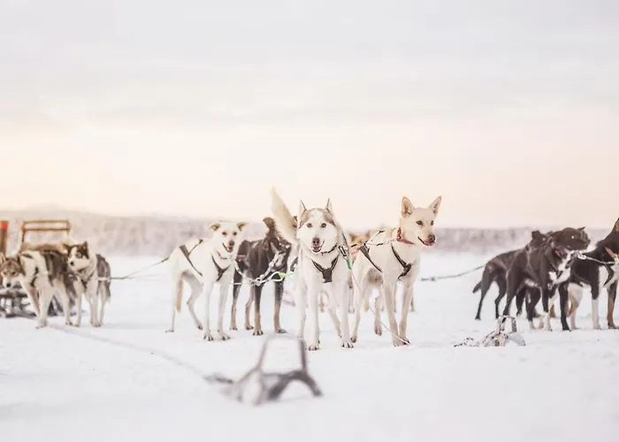 コルピカルタノ イナリ