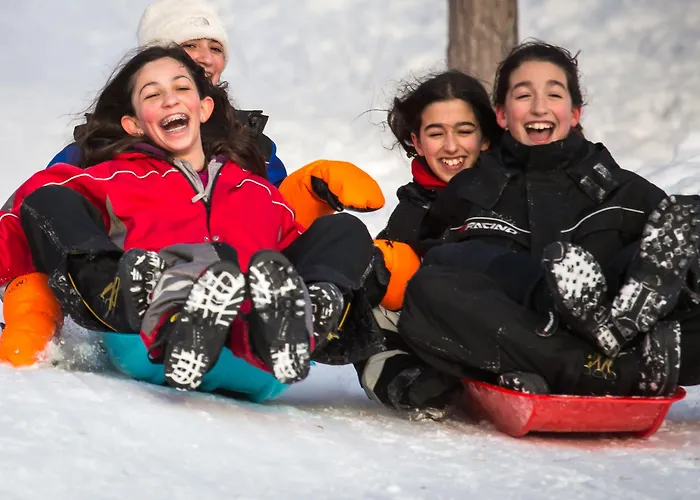 Korpikartano מלון אינארי