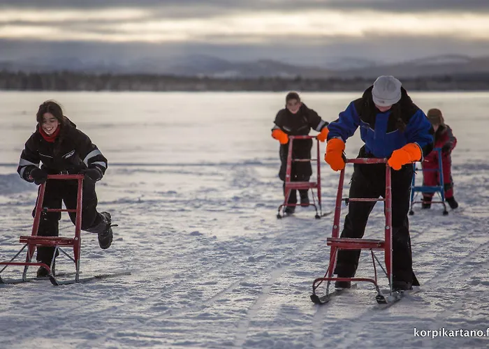 מלון Korpikartano 3*