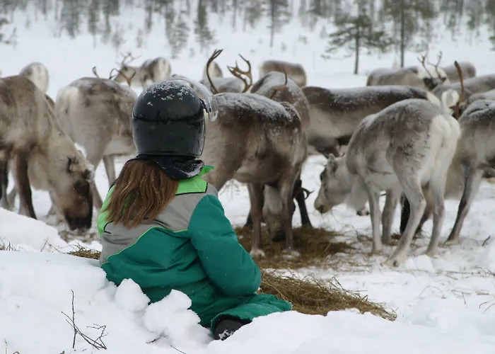 מלון Korpikartano אינארי