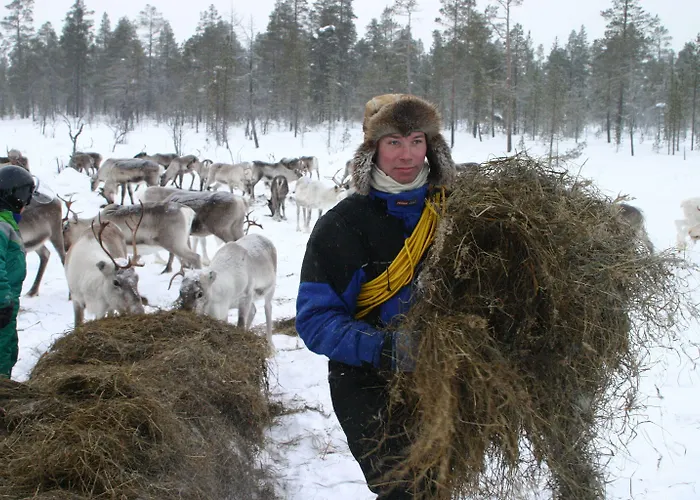 מלון Korpikartano 3*